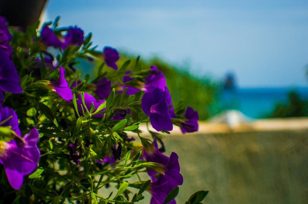 Agathi Beach House Agios Gordios  Exteriér fotografie