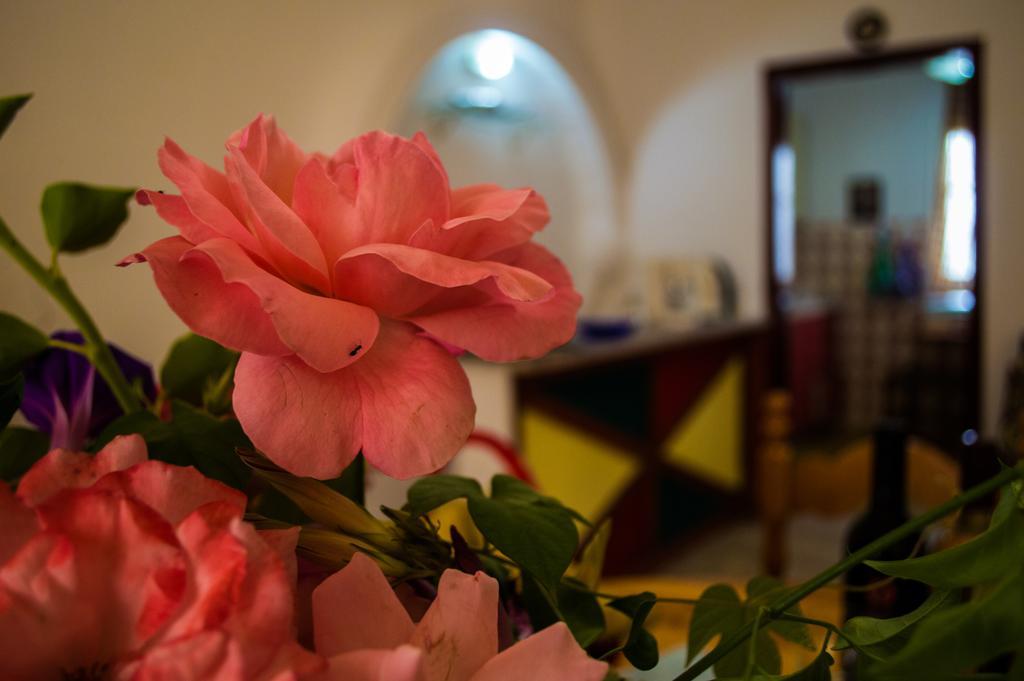 Agathi Beach House Agios Gordios  Exteriér fotografie